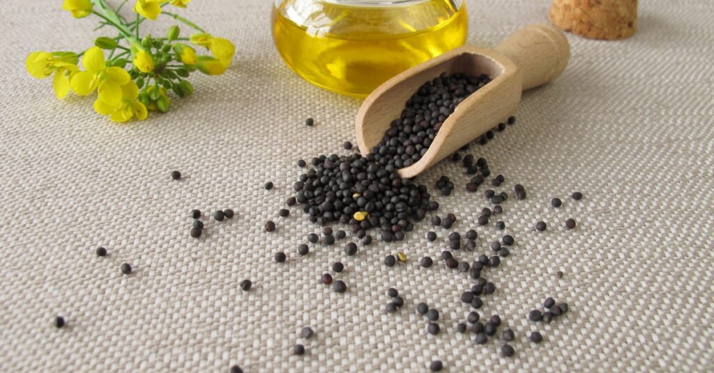 Canola Oil